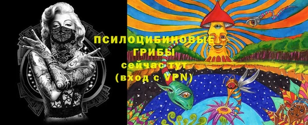молекула духа Баксан